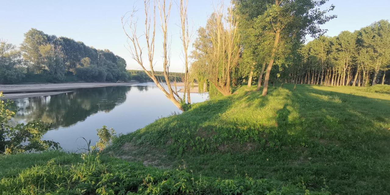 Villa Pertini Appartamento Primo Piano Nel Parco Oglio Sud Canneto sull'Oglio Eksteriør billede